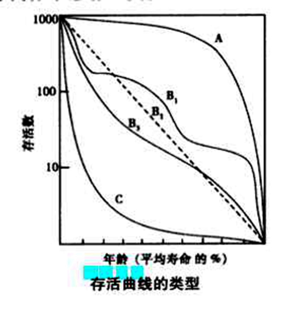 存活曲線