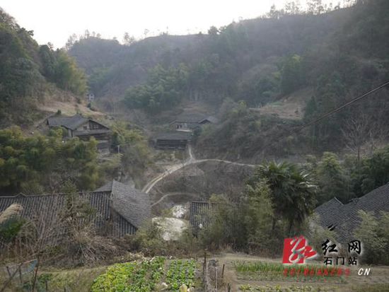 中山河村(雲南省楚雄市武定縣己衣鄉下轄村)