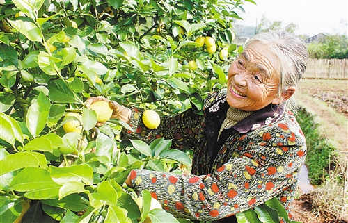 萬寧檸檬