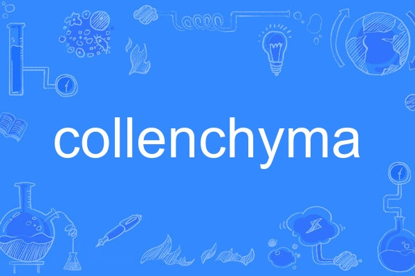 collenchyma