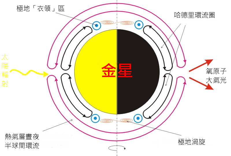 金星大氣層環流中的經向（南北走向）環流。