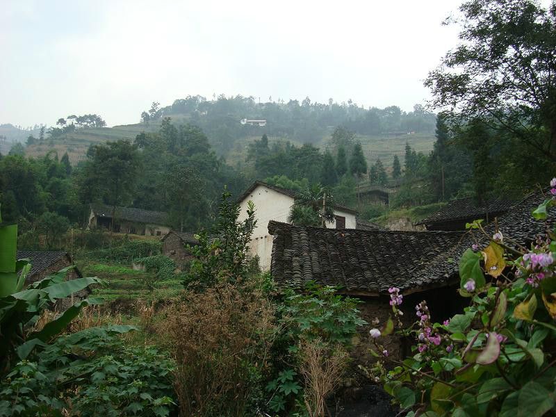 水井自然村(雲南省臨滄市大文鄉水井自然村)