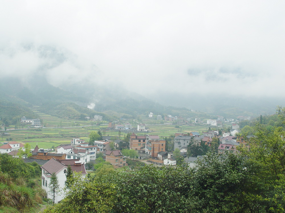 西山村(山西省晉城市澤州縣山河鎮下轄村)