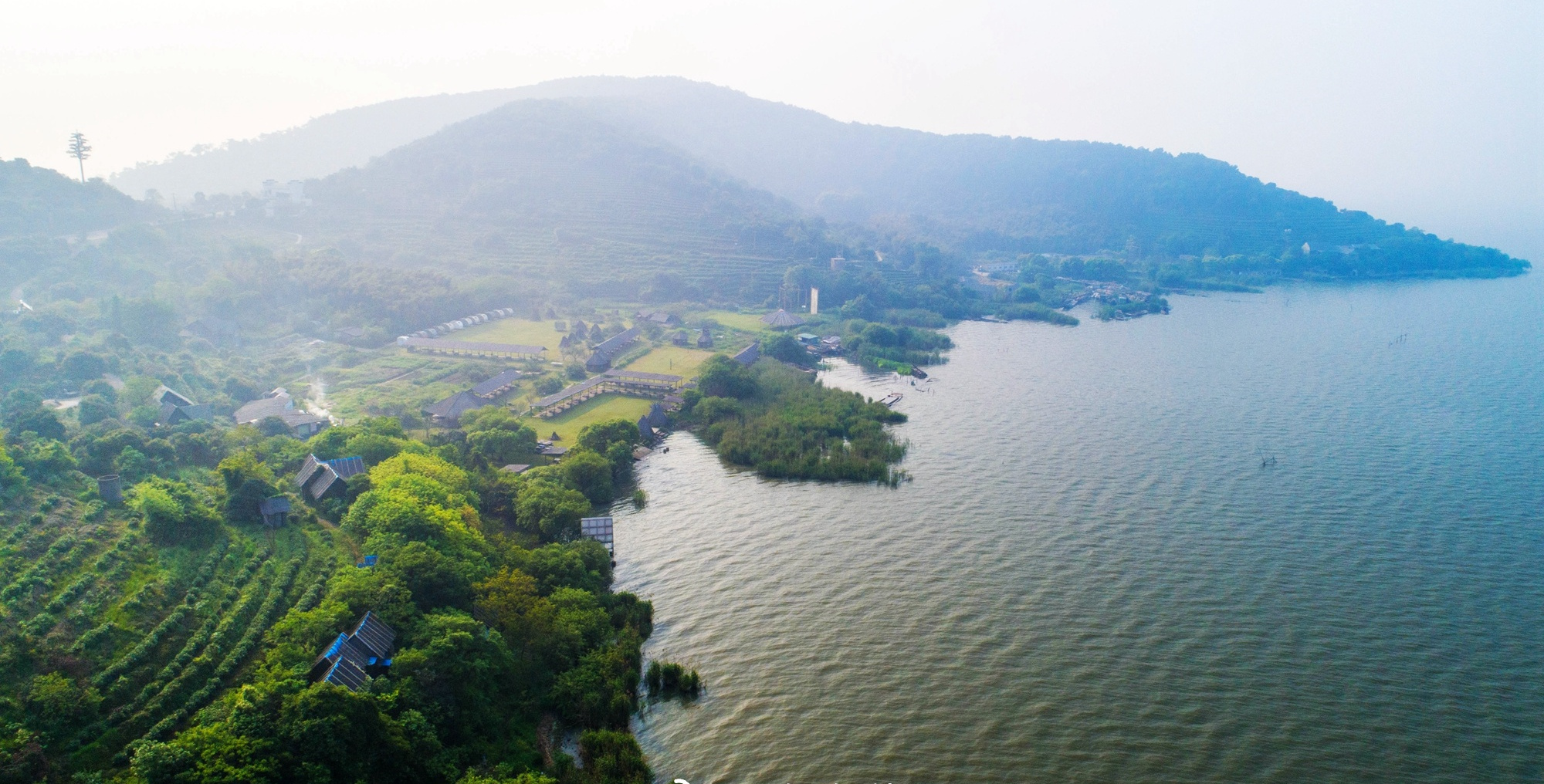 馬山楊梅