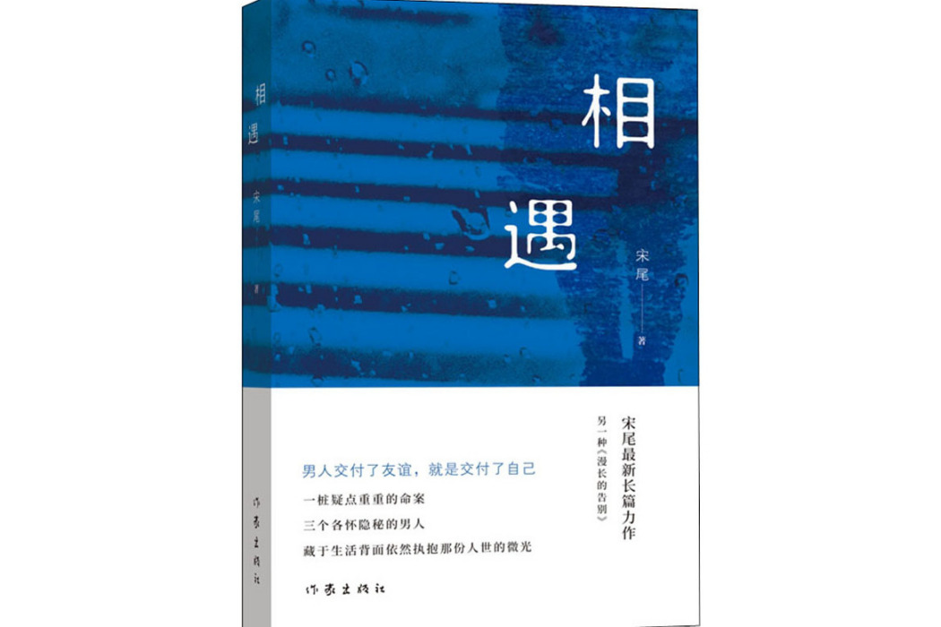 相遇(2020年作家出版社出版的圖書)