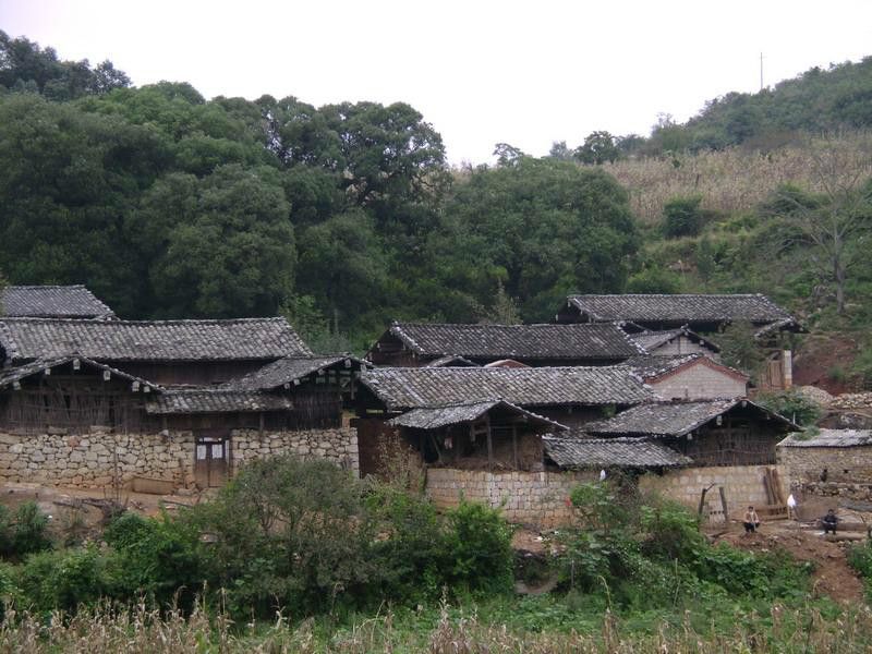 石岩頭村(雲南省紅河州石屏縣龍武鎮下轄村)