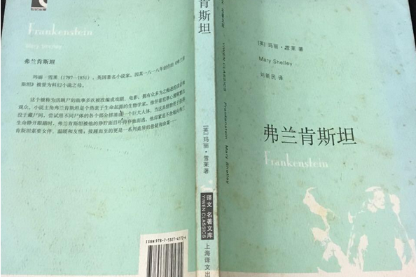 弗蘭肯斯坦(2007年上海譯文出版社出版的圖書)