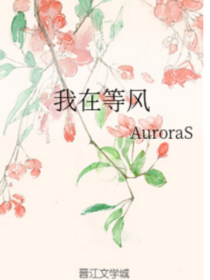 我在等風(AuroraS創作的衍生類輕小說)