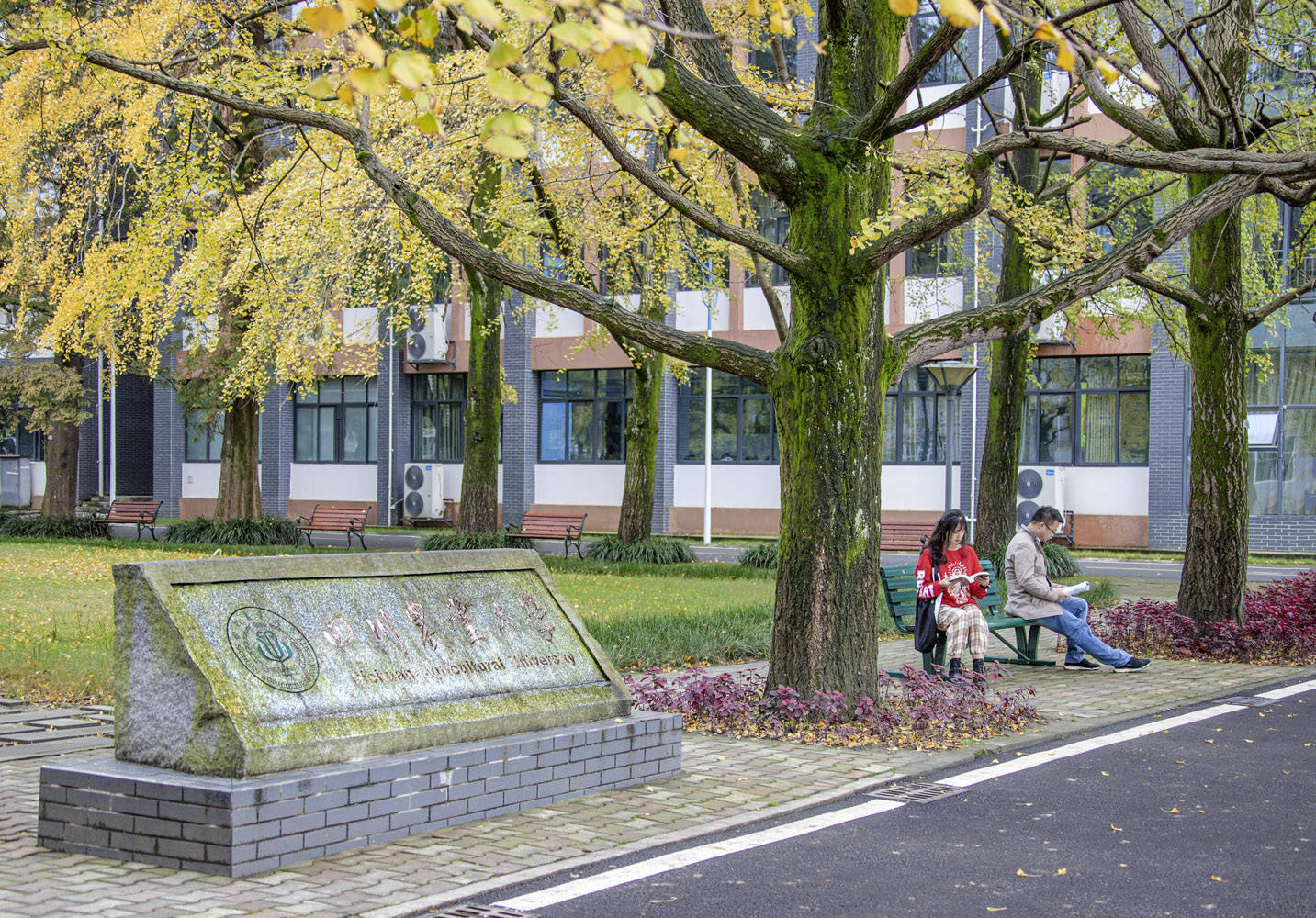 四川農業大學(四川省農業大學)