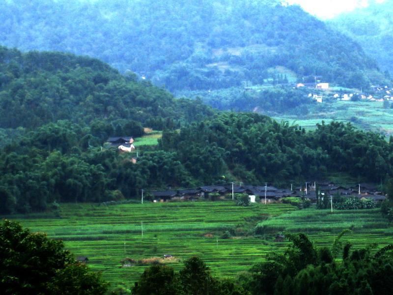 花寨村(花寨村民委員會)