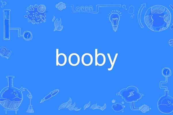 booby