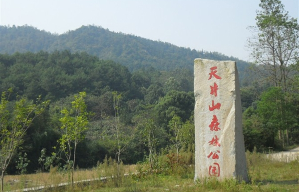 天井山森林公園(湖南省岳陽市君山區天井山森林公園)