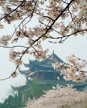 武漢市晴川閣管理處(武漢大禹文化博物館)