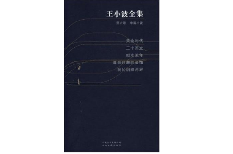 王小波全集（第六卷）