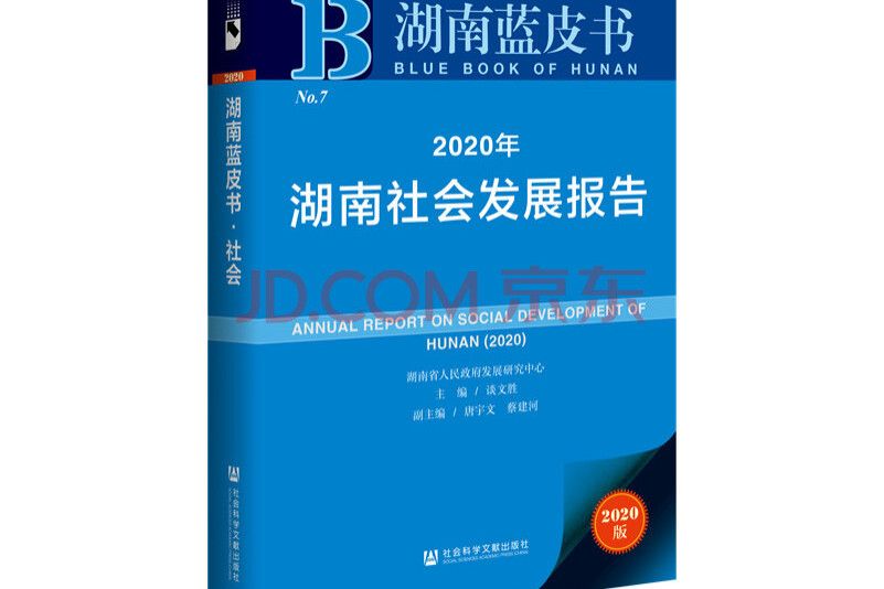 2020年湖南社會發展報告
