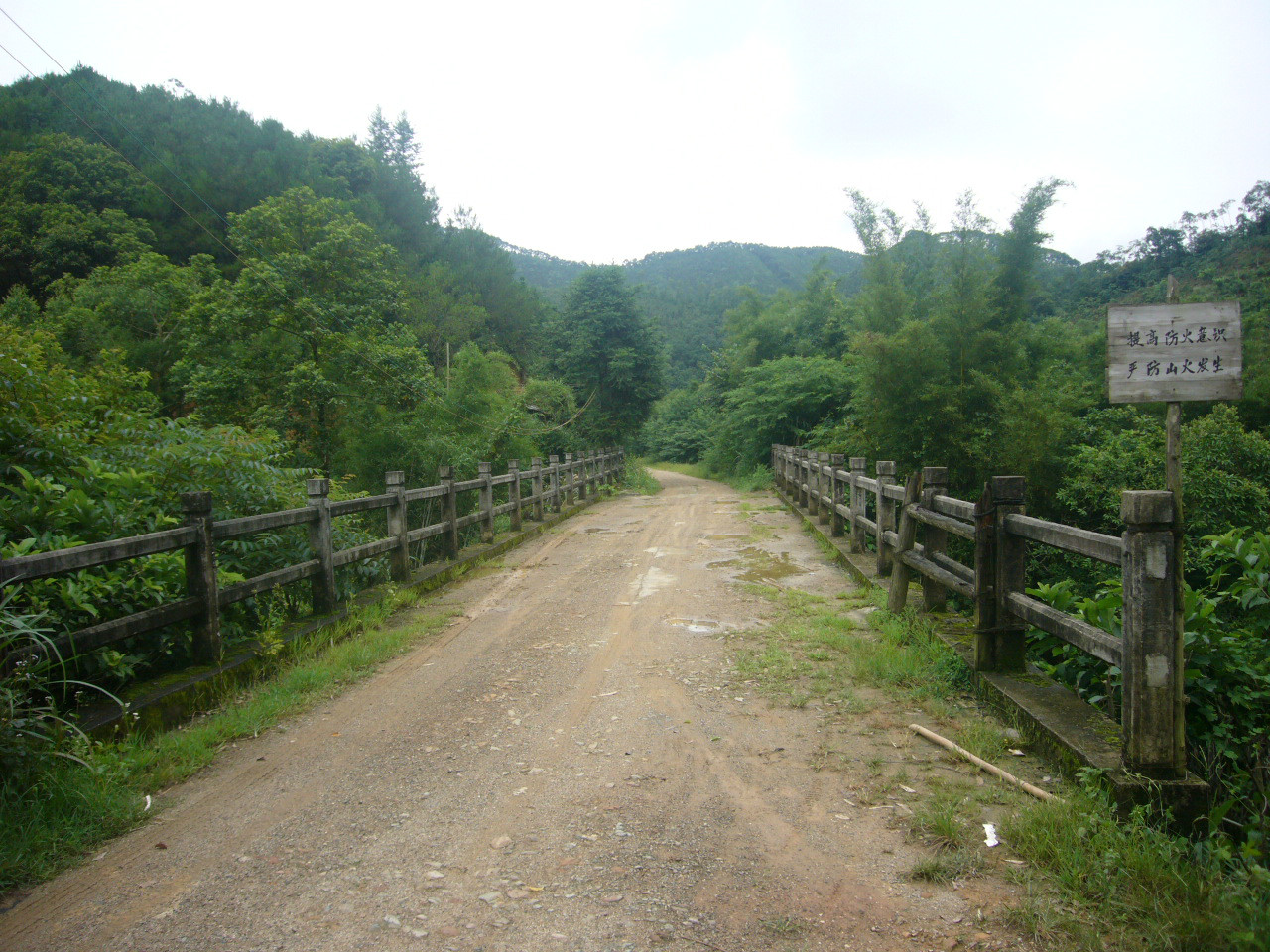 狀元湖森林公園