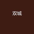 雙城(奇幻武俠小說)