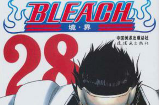 BLEACH 境·界28