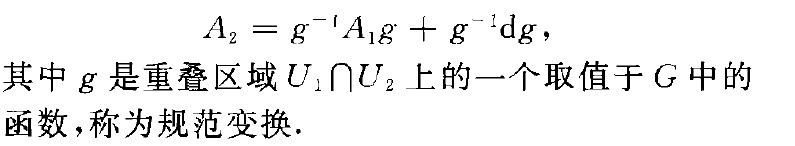 主纖維叢上聯絡