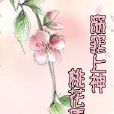 窈窕上神桃花債