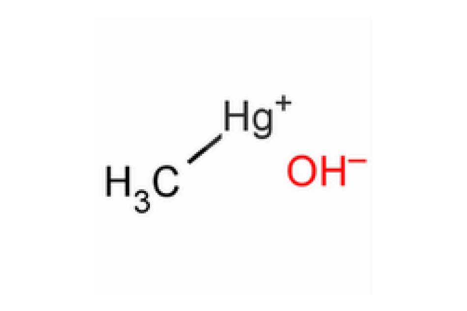 甲基氫氧化汞(II)