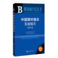 中國媒體融合發展報告(2015)(2015年社會科學文獻出版社出版的圖書)