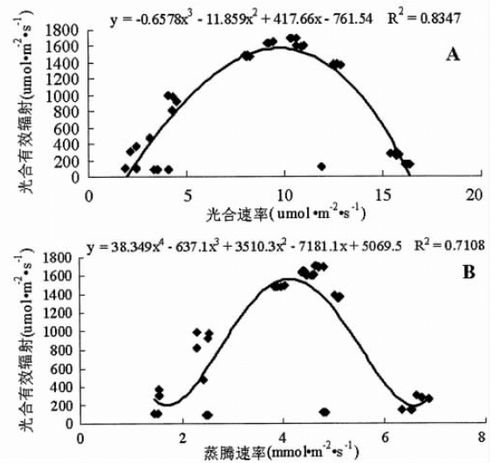 有效輻射能