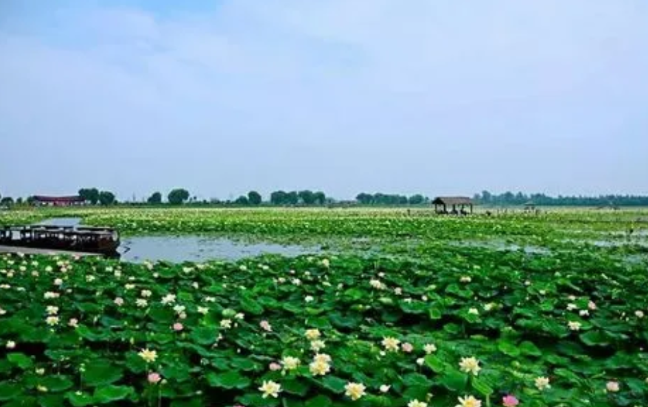 安徽淮南焦崗湖國家濕地公園