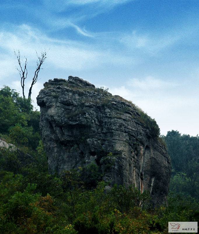 岱鰲山