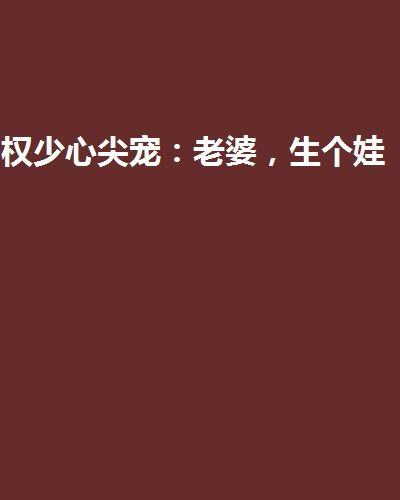 權少心尖寵：老婆，生個娃