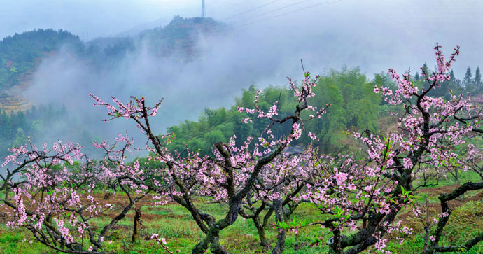 高陽村(福建省三明市寧化縣河龍鄉高陽村)