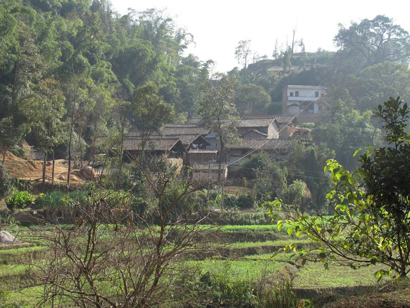 平寨村(雲南省曲靖師宗縣五龍鄉平寨村)