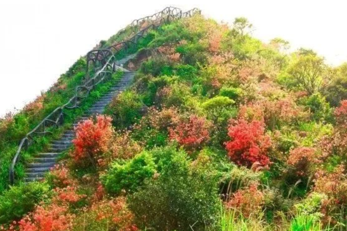 豆腐頭(深圳梧桐山主峰之一)