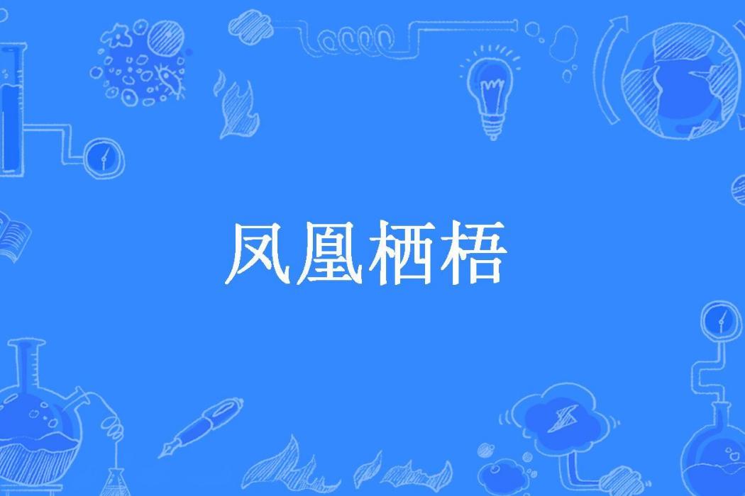 鳳凰棲梧(沈滄浪所著小說)