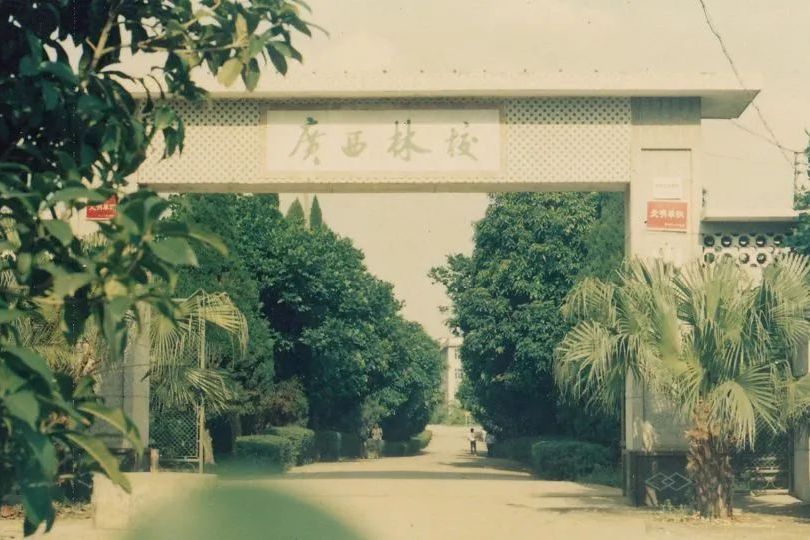 廣西林學院