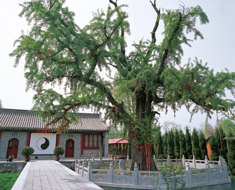 重陽宮(戶縣重陽宮)