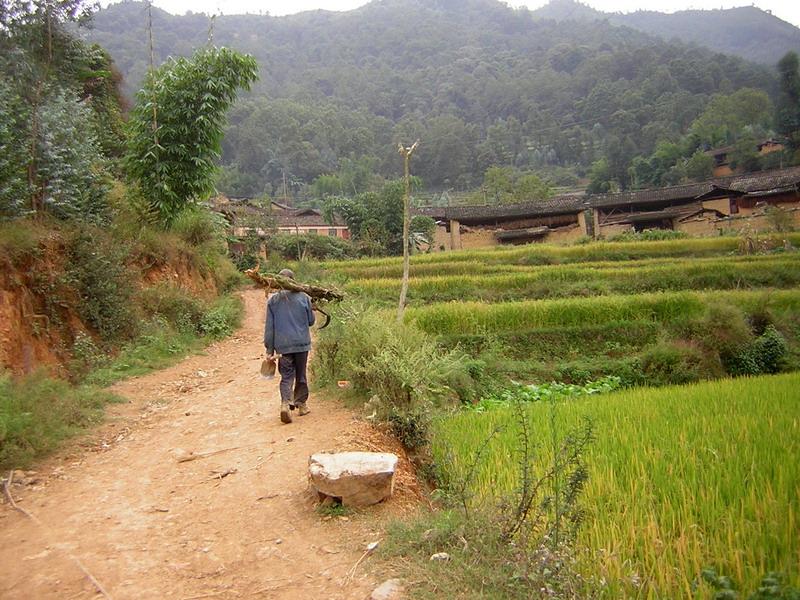 入村道路