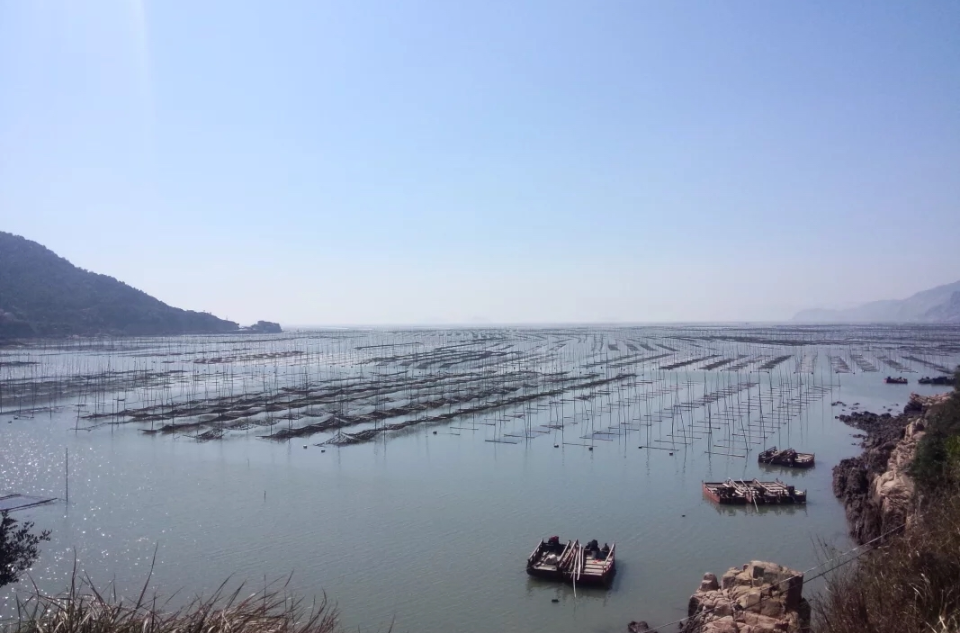 加頭村(福建省寧德市霞浦縣長春鎮加頭村)