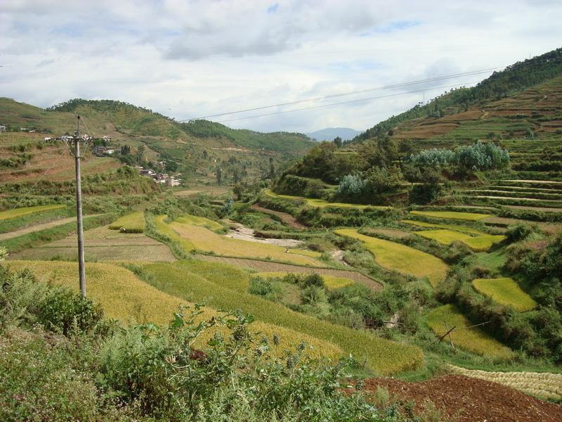 灰窯村(雲南景東彝族自治縣錦屏鎮灰窯村)