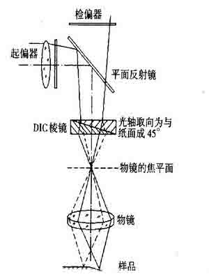 微分干涉術