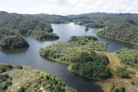 景東杜鵑湖