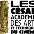 第11屆法國電影凱撒獎(第11屆凱撒獎)