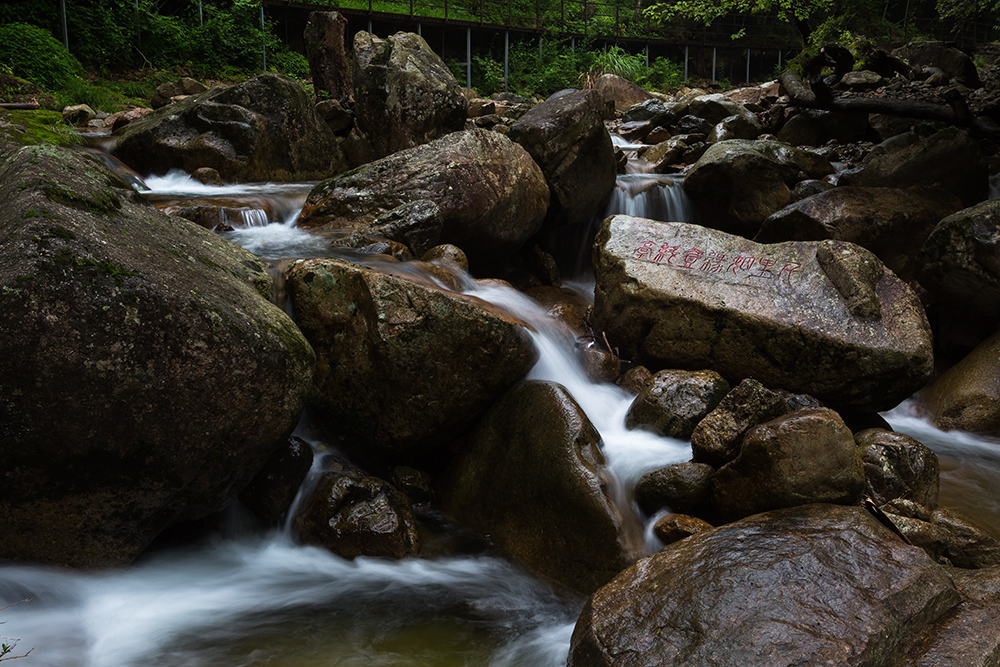 醉山野