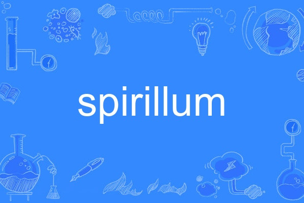 spirillum