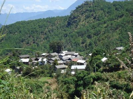 三岔河村(雲南省瀘水縣魯掌鎮魯掌村委會下轄村)