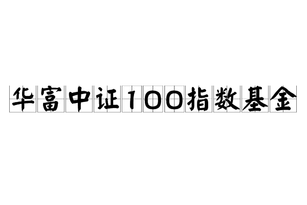 華富中證100指數基金