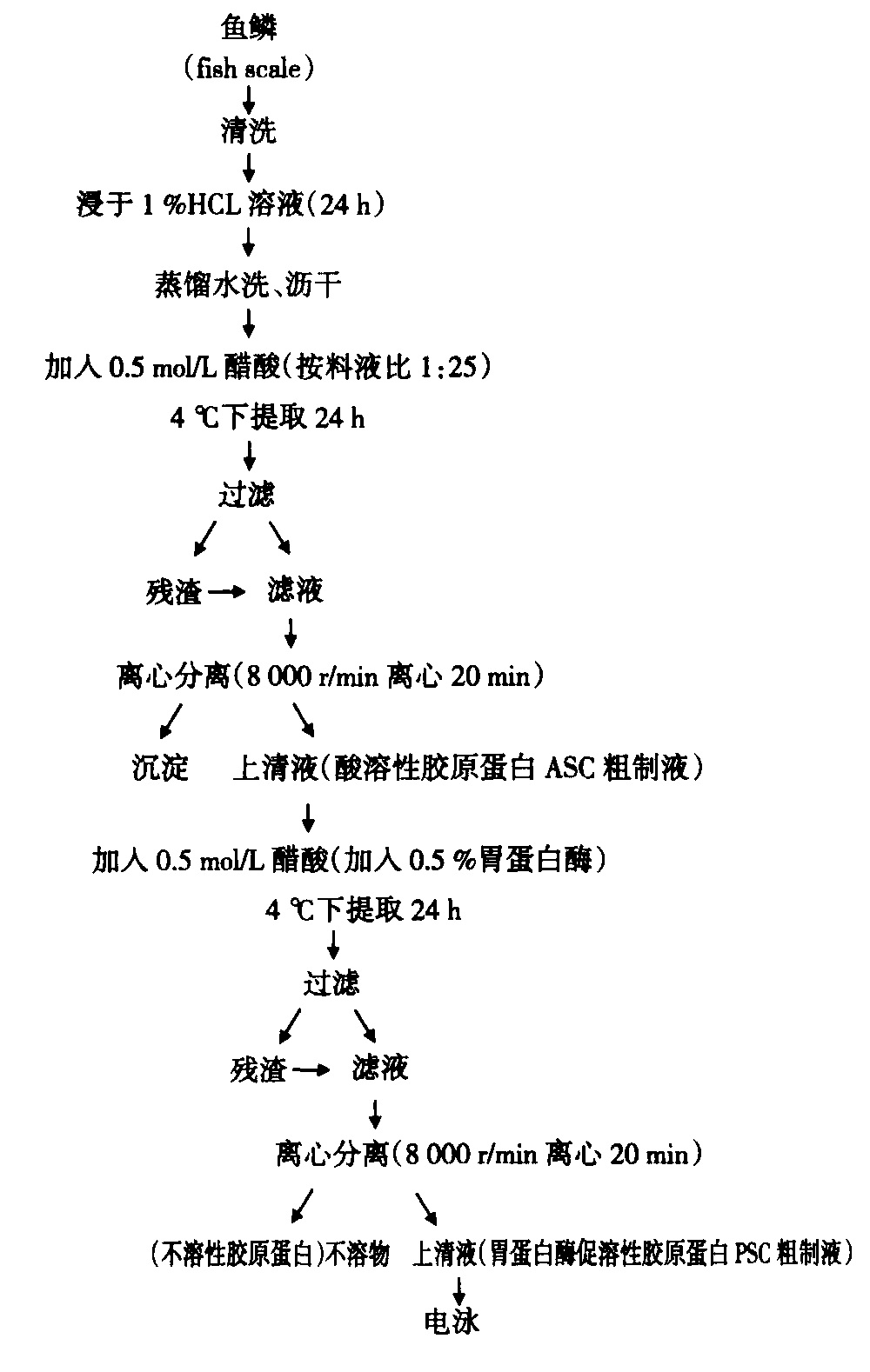 膠原蛋白(膠原質)