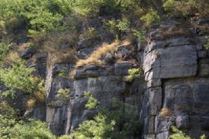 圪壋坡遺址景觀