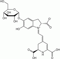 分子結構圖