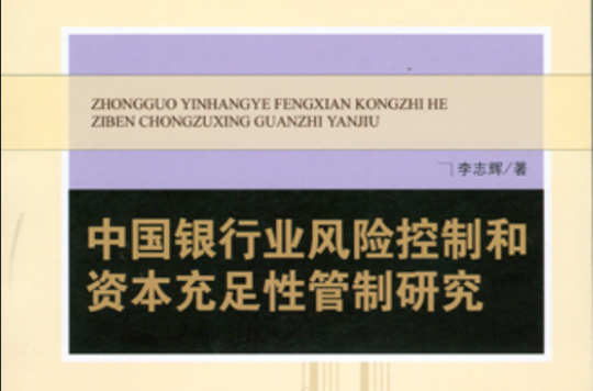 中國銀行業風險控制和資本充足性管制研究